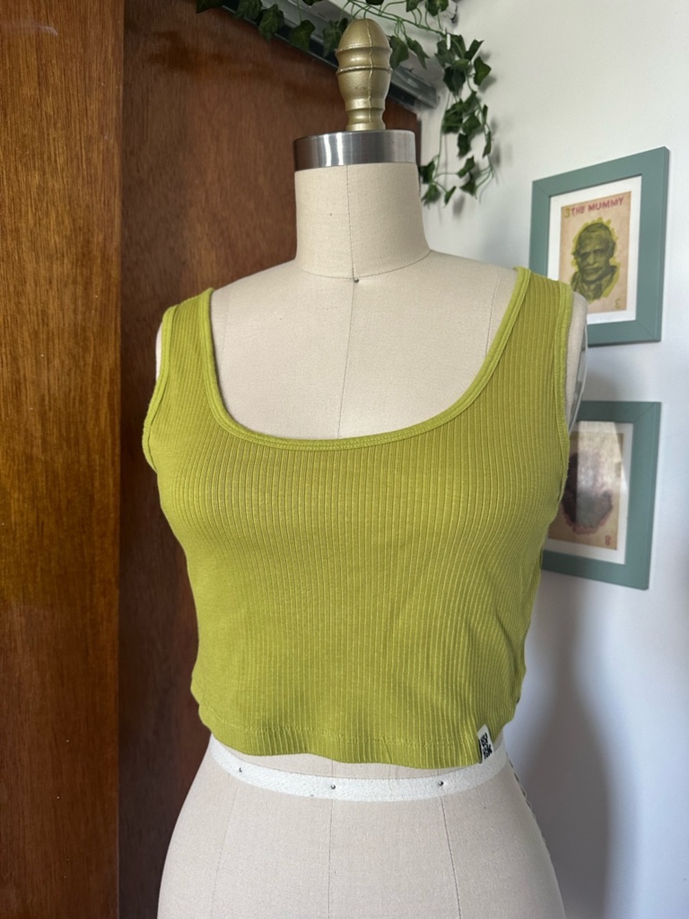 Lucy and Yak green crop tank top M